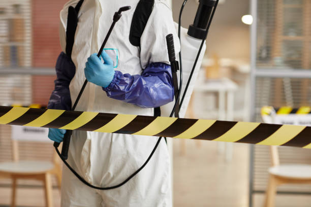 Professional Hoarding Cleanup technician working in Hartford, IL
